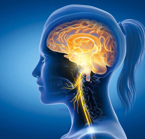 Neurologie
